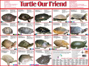 IW- Banner-Poster May 2023