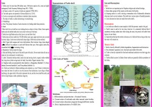 IW- Brochure Back 2023 (Eng)