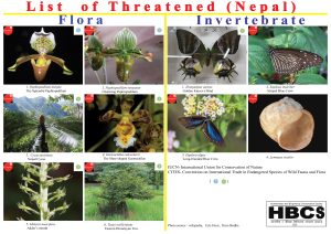 List of Threatened (Nepal) 2023