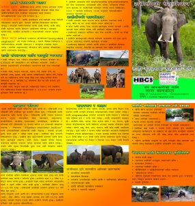 HBCS- Elephant Brochure