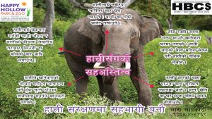 HBCS- Elephant Poster